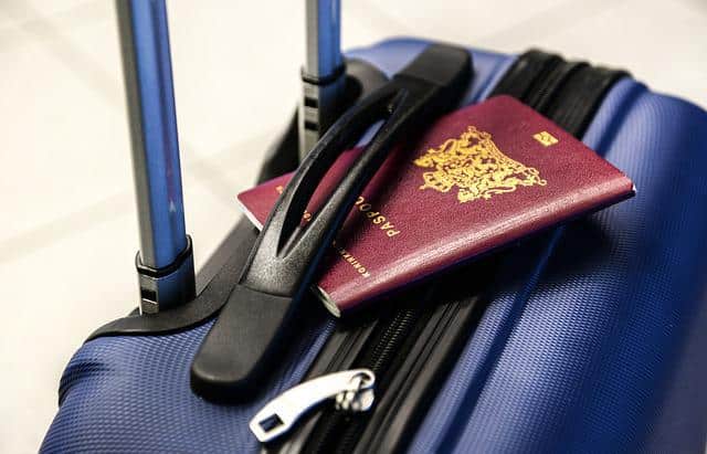 holiday bed bugs on luggage