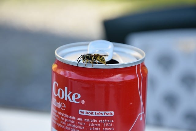 wasps on fizzy drink