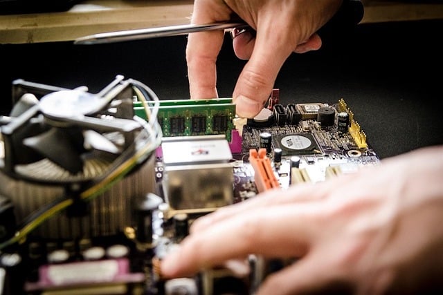 electronics with bed bugs