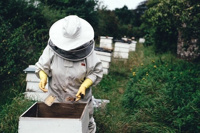 bee keeper