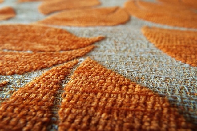 carpet eaten by moths